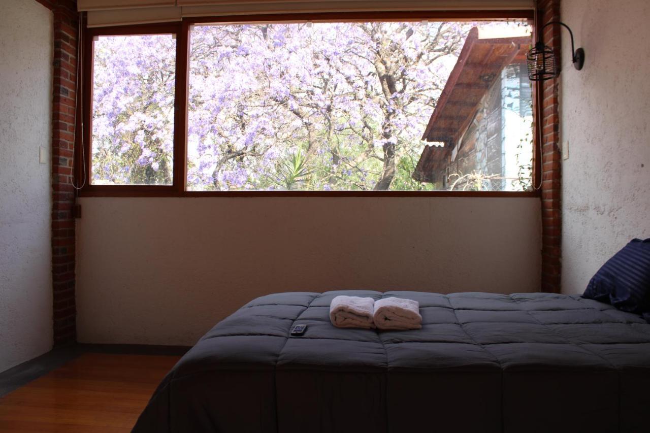 Casa Frida Coyoacan Mexico by Eksteriør bilde